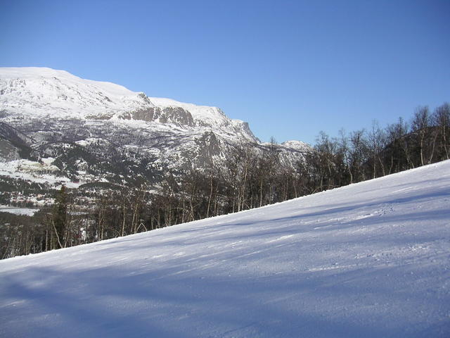 20060324_153841-0.jpg