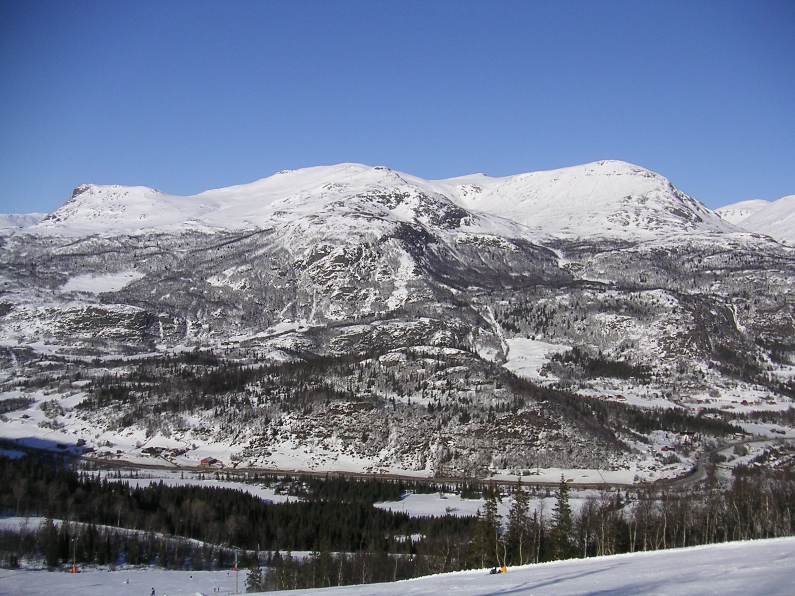 20060324_153851-0.jpg
