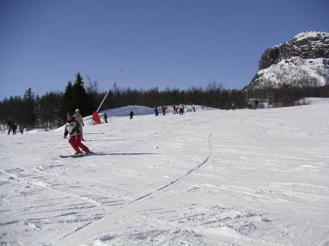 20060325_105001-0.jpg