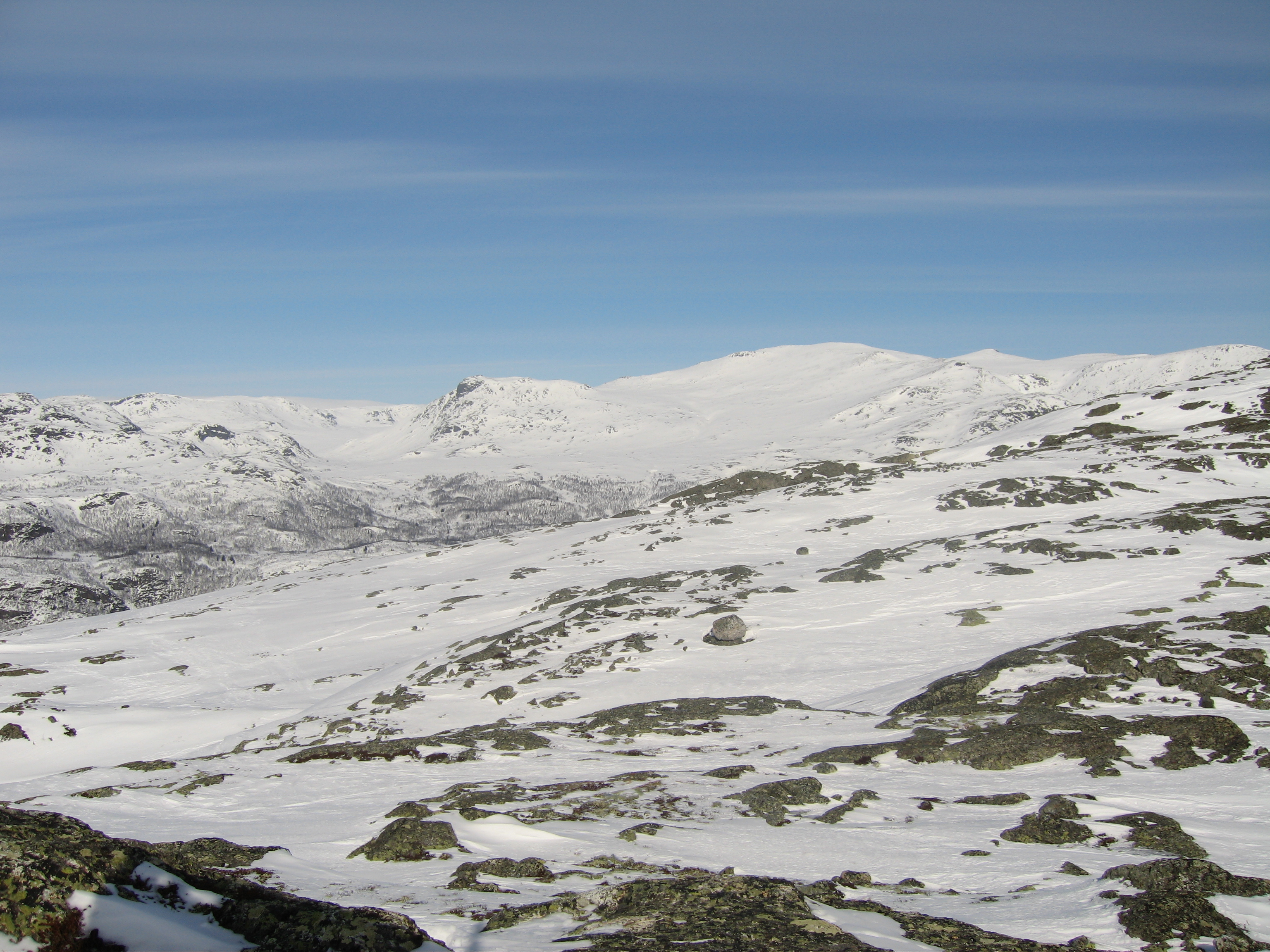20060325_135147-0.jpg