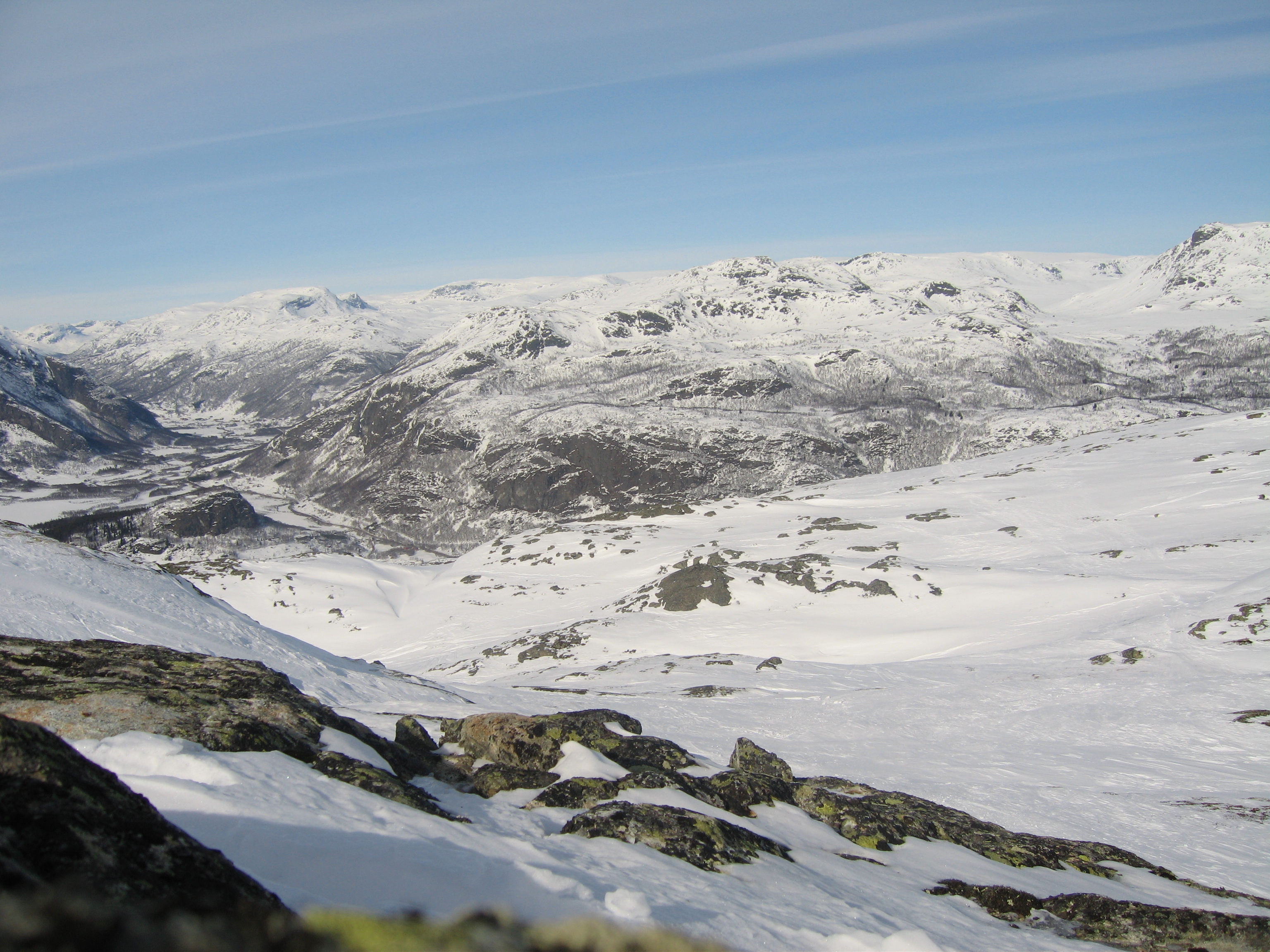 20060325_141057-0.jpg