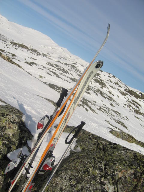 20060325_141341-0.jpg