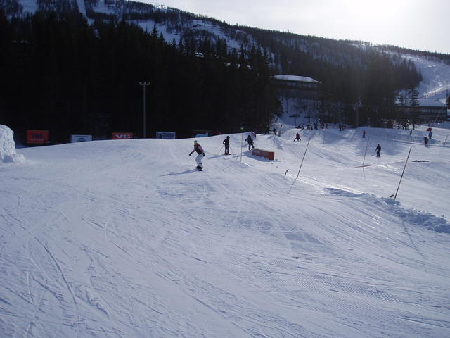 20060326_090250-1.jpg