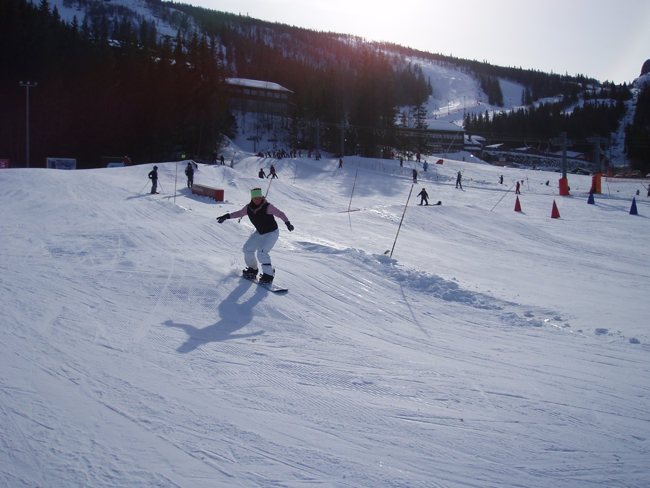 20060326_090352-0.jpg
