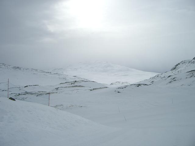 20060326_104121-0.jpg