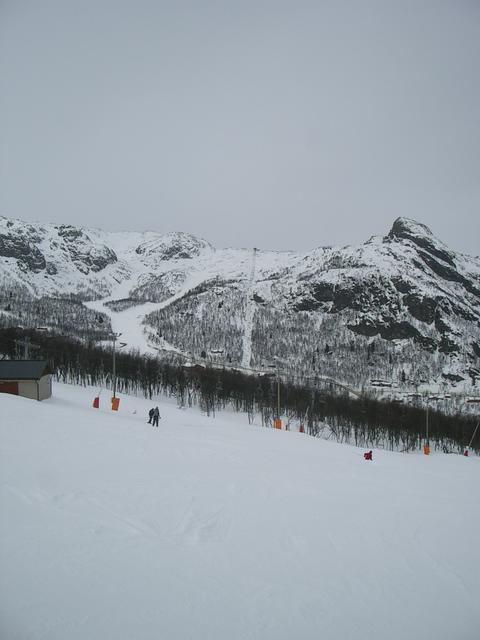 20060326_105511-0.jpg