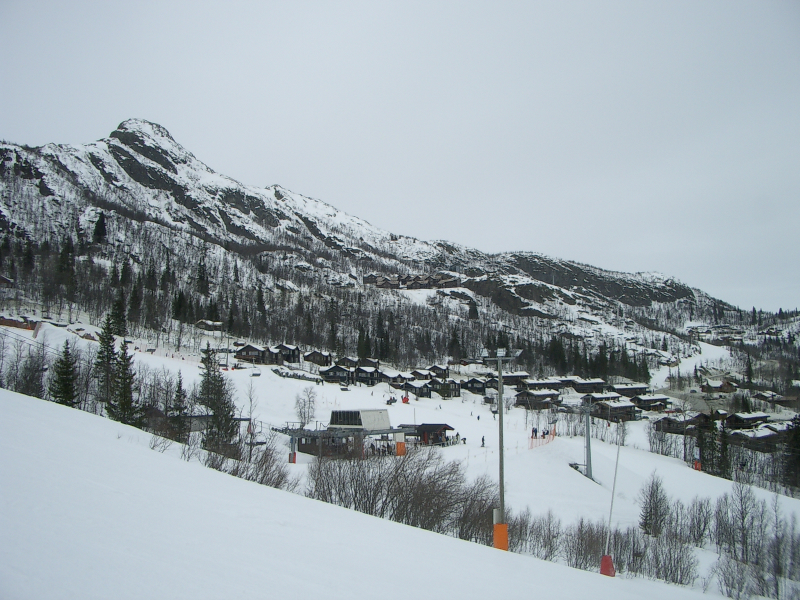 20060326_105852-0.jpg
