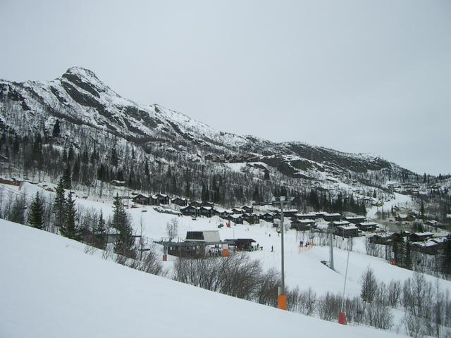 20060326_105852-0.jpg