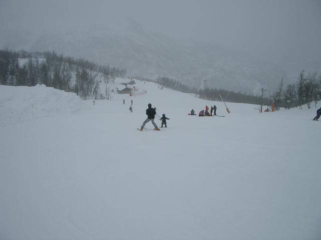 20060326_135456-0.jpg