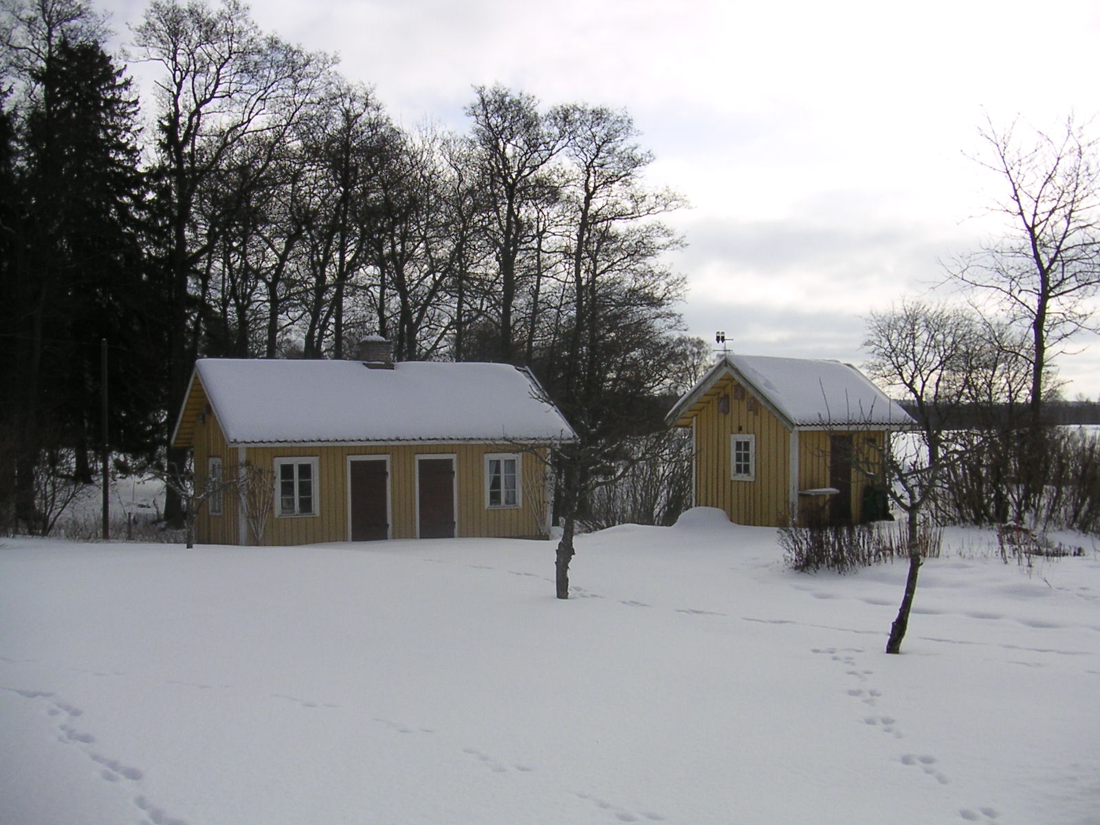 20060312_112217-0.jpg
