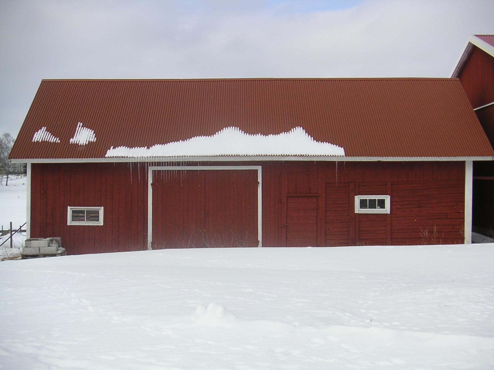 20060312_112354-0.jpg