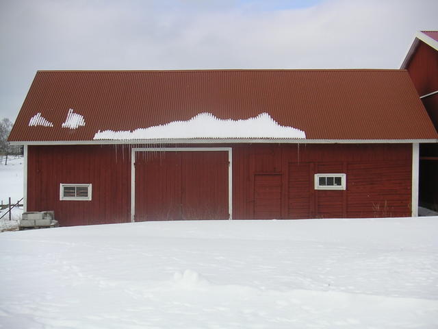 20060312_112354-0.jpg