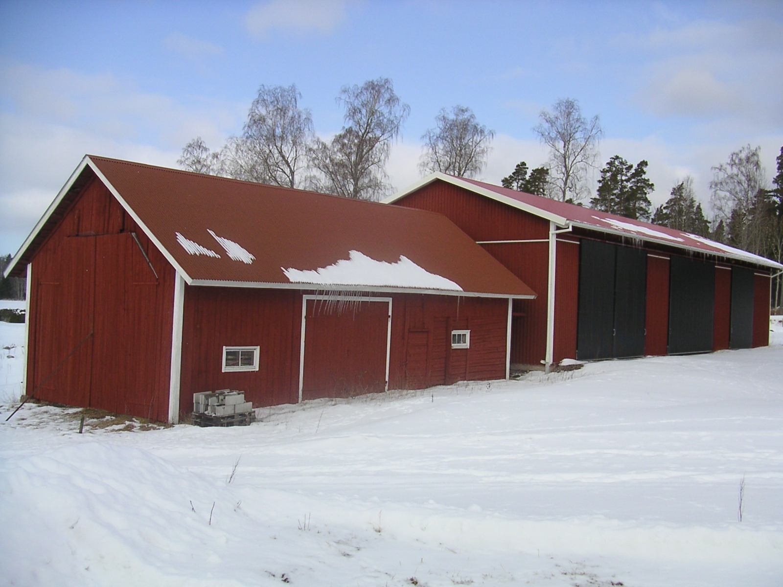 20060312_112442-0.jpg