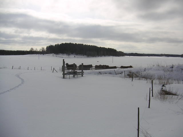 20060312_112648-0.jpg