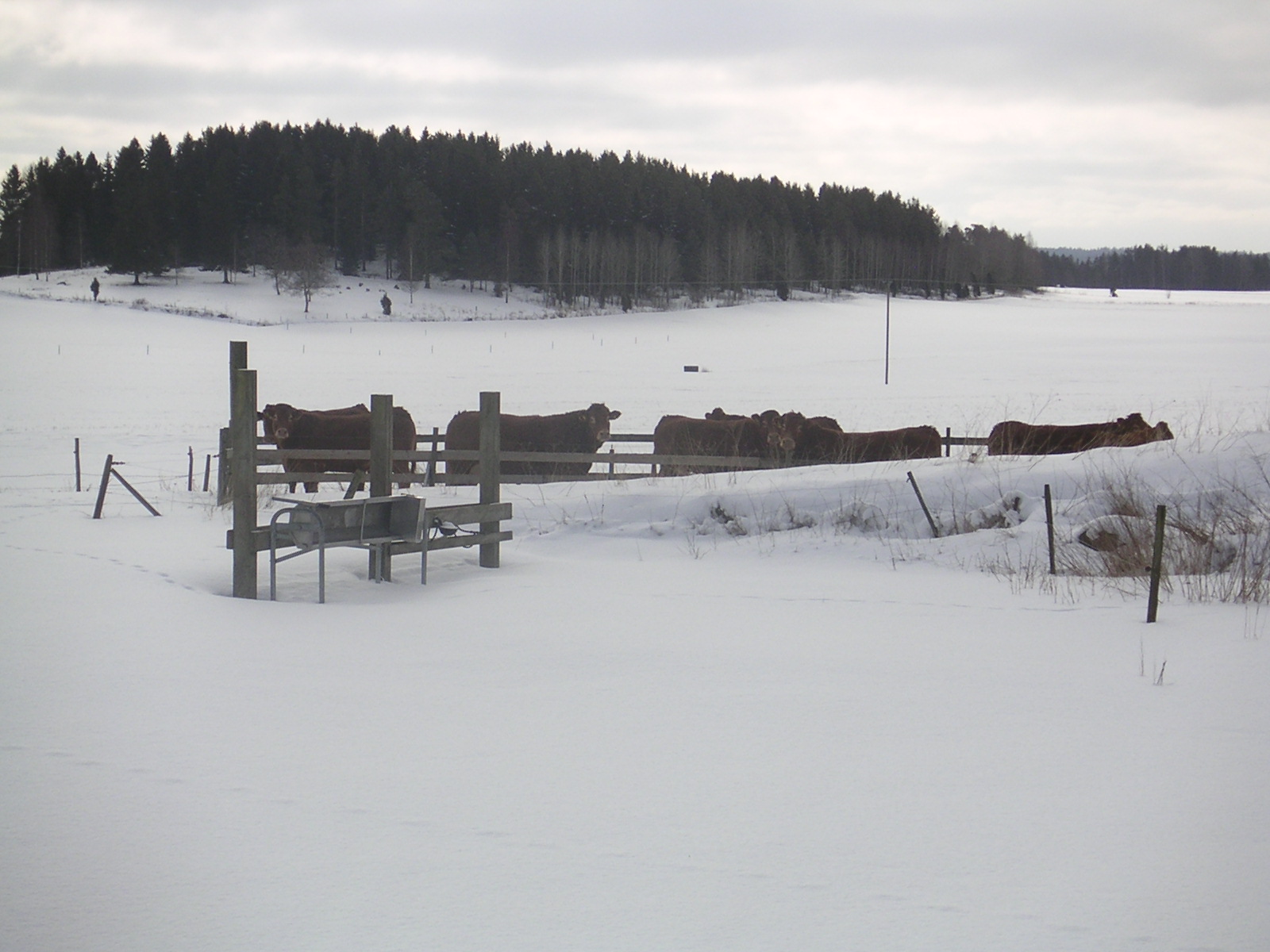 20060312_112655-0.jpg