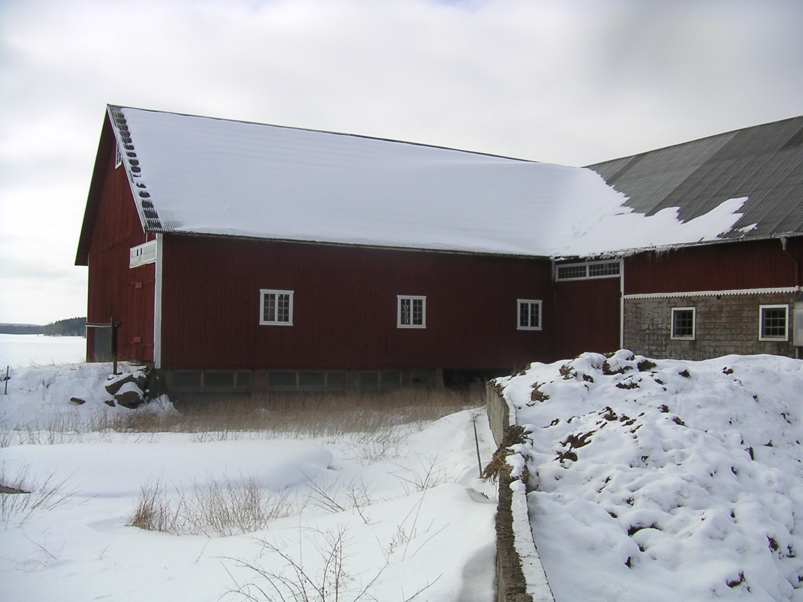 20060312_112709-0.jpg