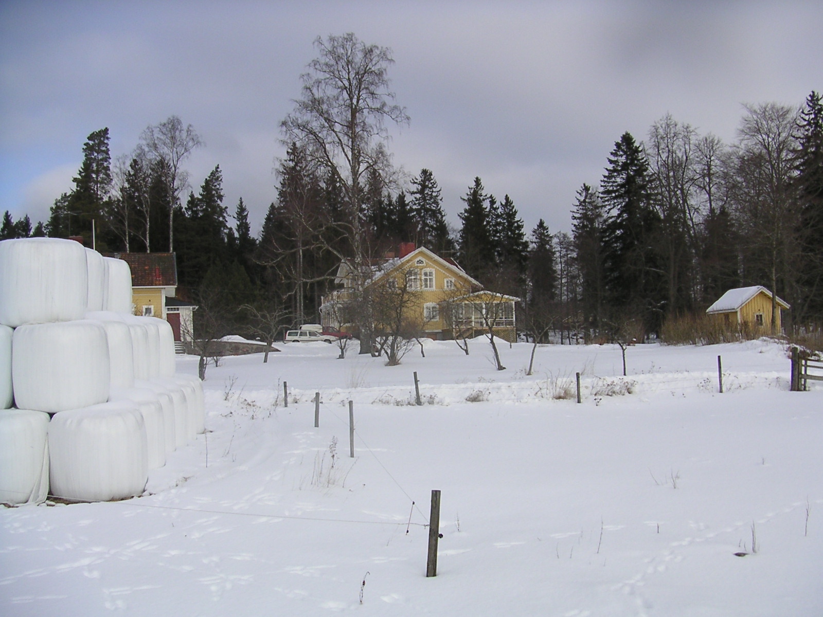 20060312_112719-0.jpg