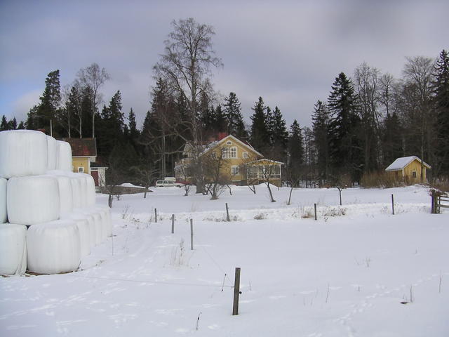 20060312_112719-0.jpg