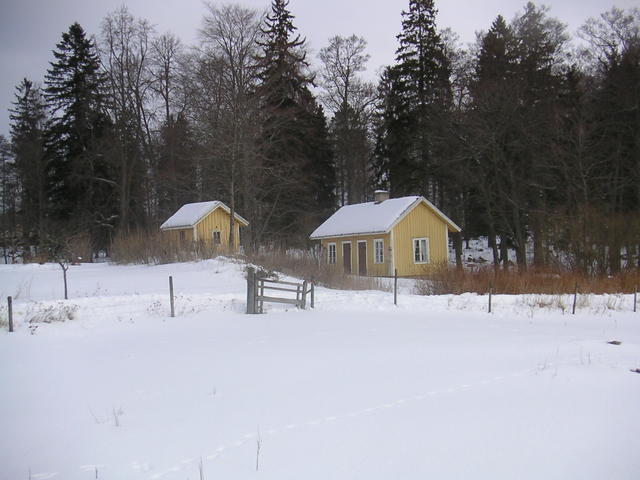 20060312_112737-0.jpg