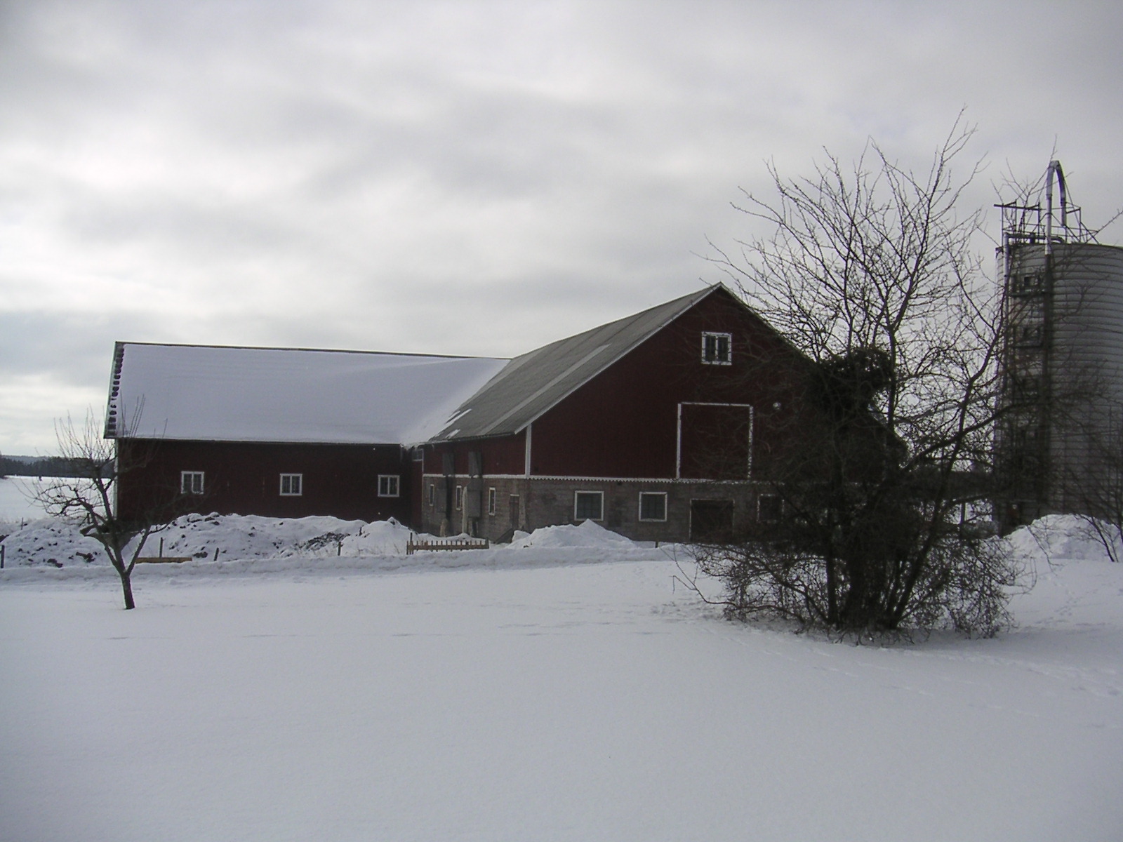 20060312_112940-0.jpg