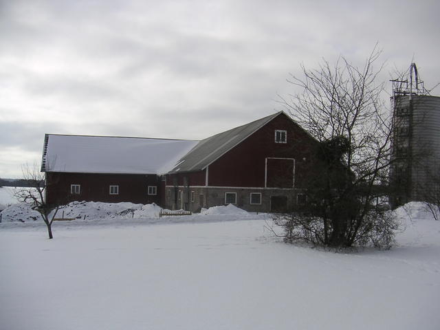 20060312_112940-0.jpg