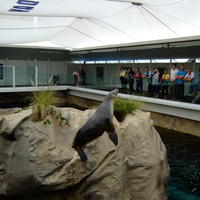 Darling Harbour, Sydney Aquarium