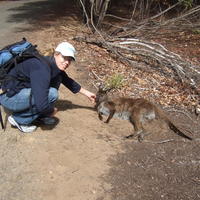 Kangaroo Island, 13-15 Januari 2007