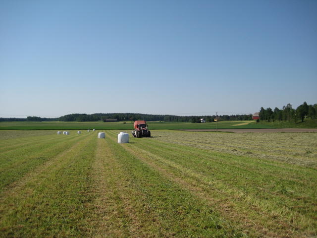 IMG_4700.JPG
