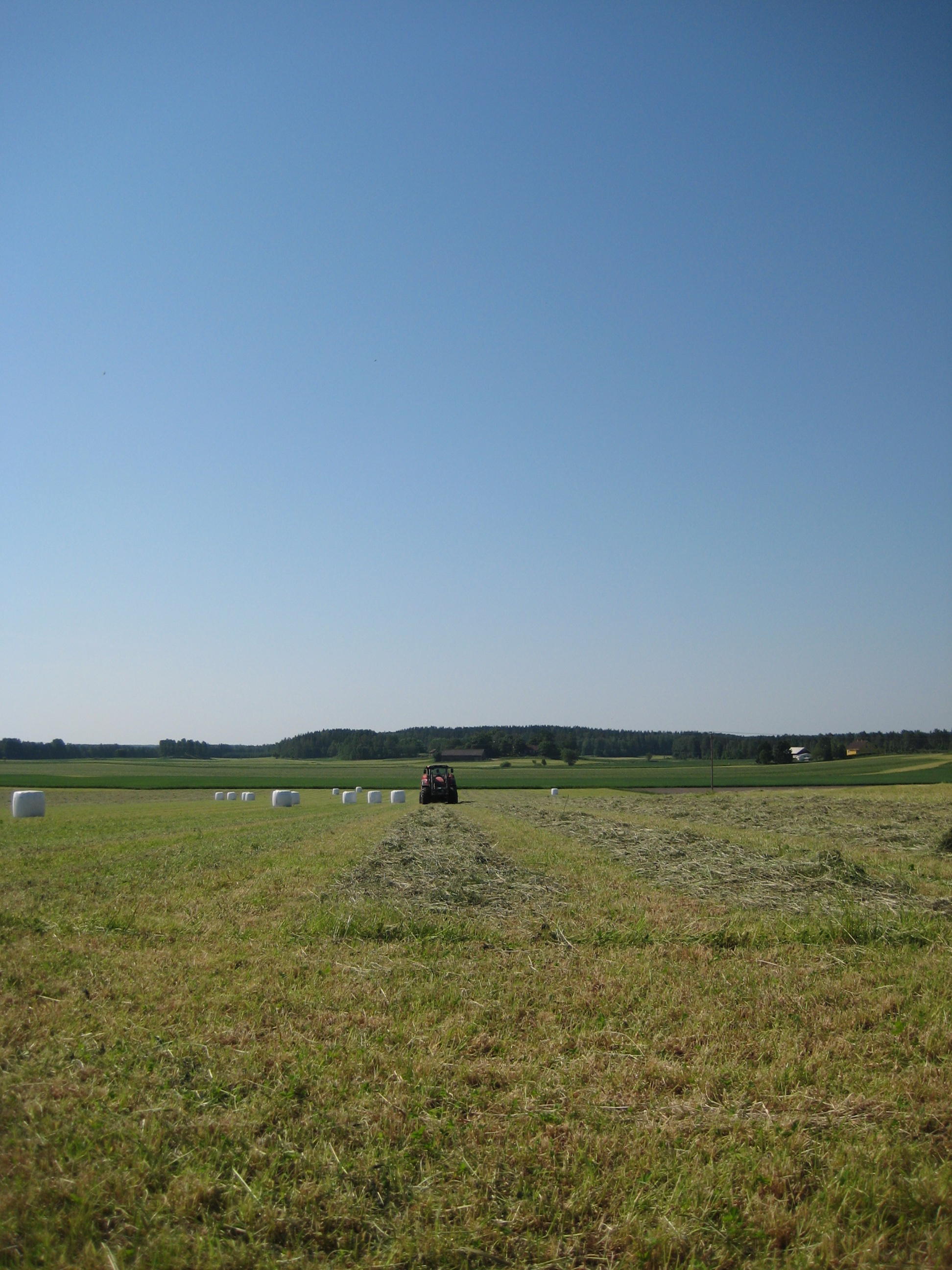 IMG_4745.JPG