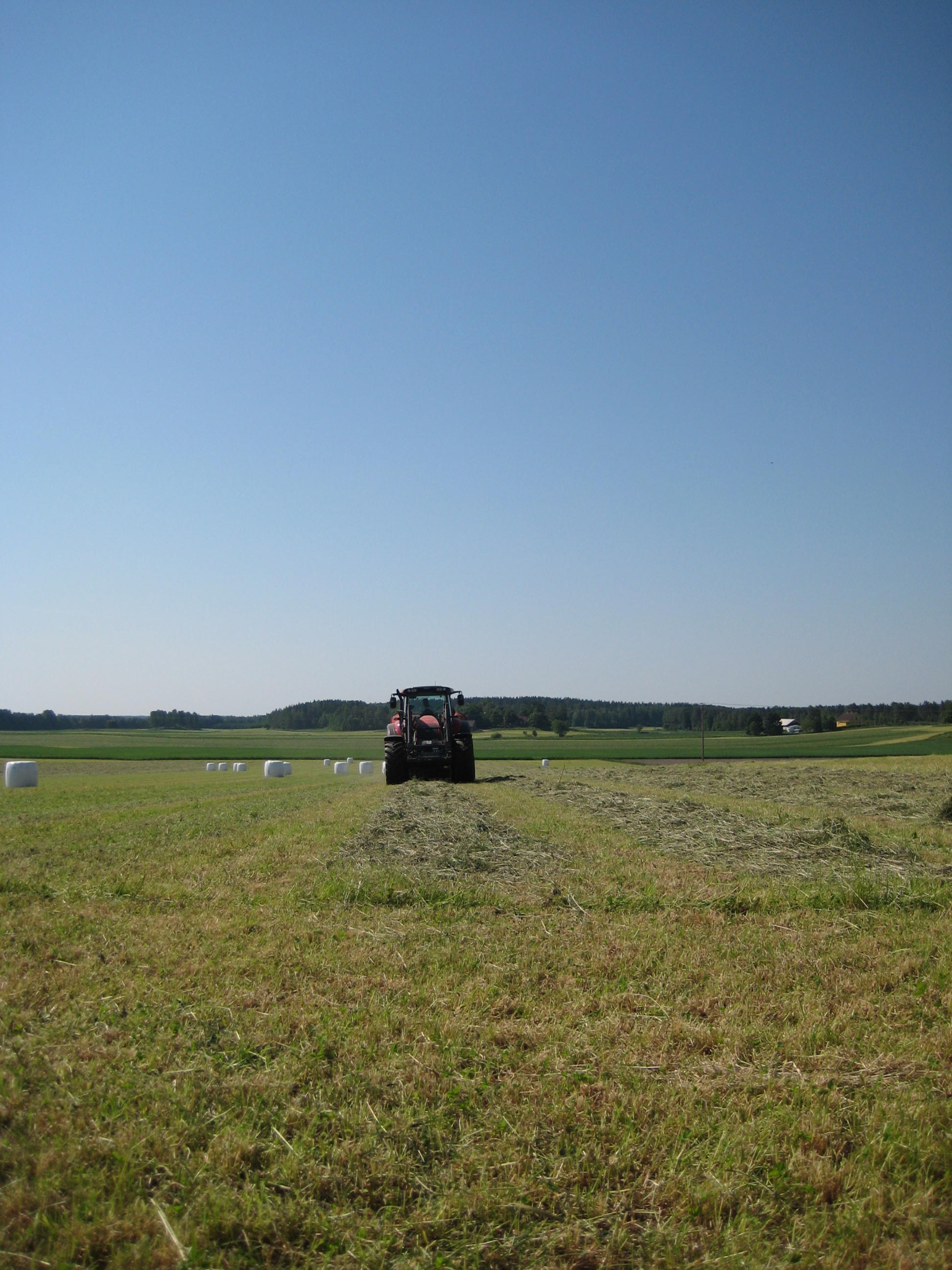 IMG_4749.JPG