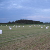IMG_4787.JPG