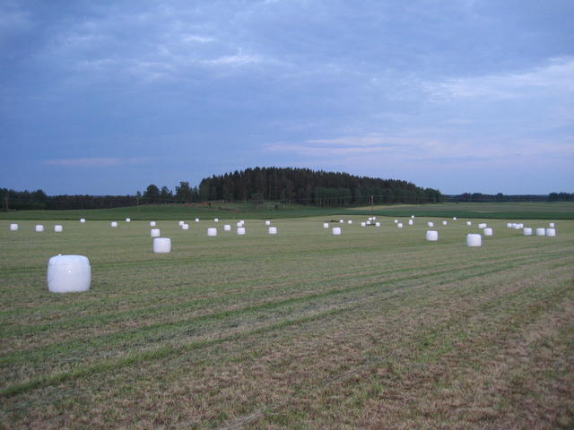 IMG_4787.JPG