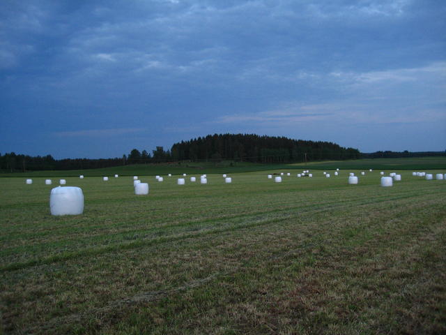 IMG_4791.JPG
