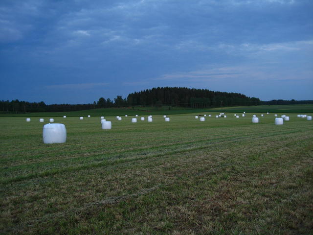 IMG_4792.JPG