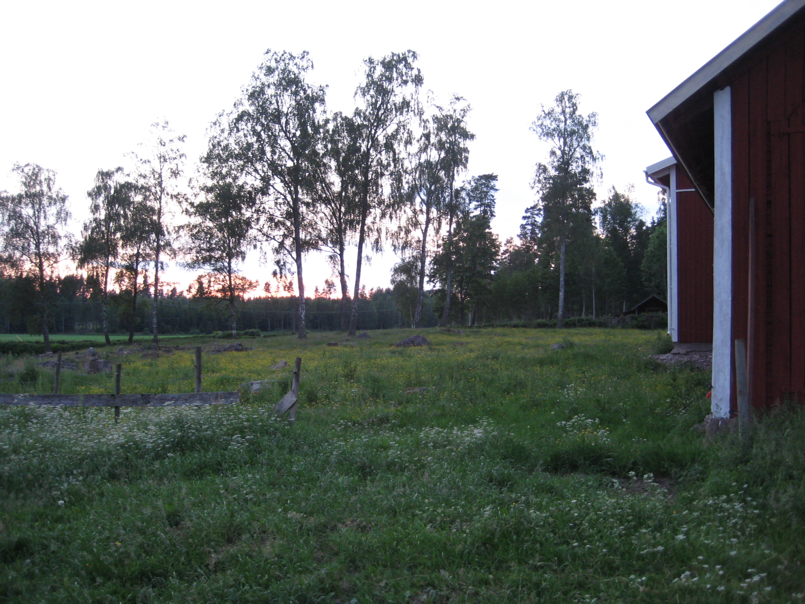 IMG_4810.JPG