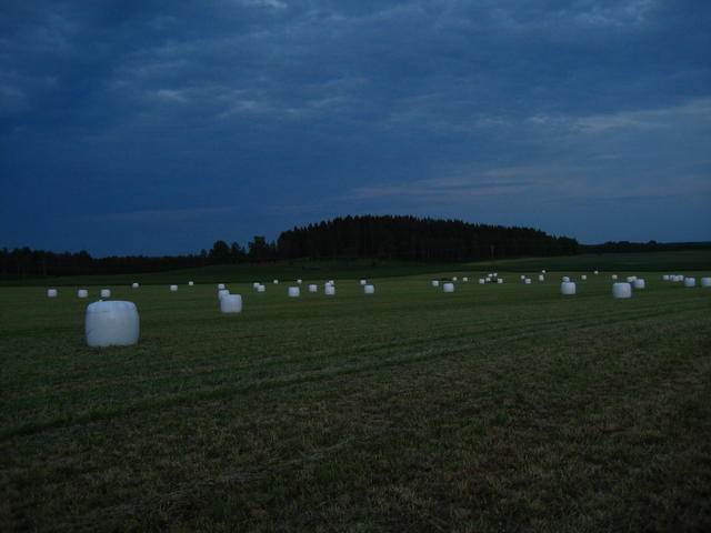 IMG_4790.JPG