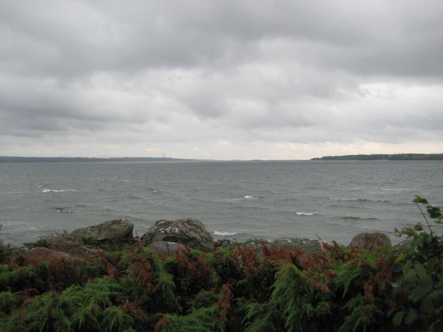 IMG_4872.JPG