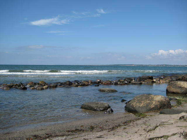 IMG_4904.JPG