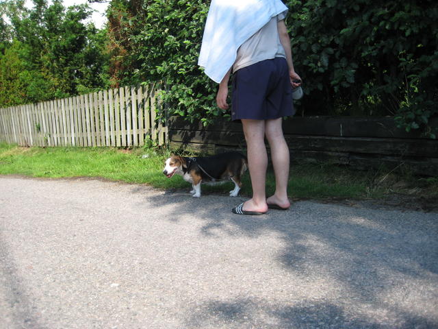 IMG_4926.JPG