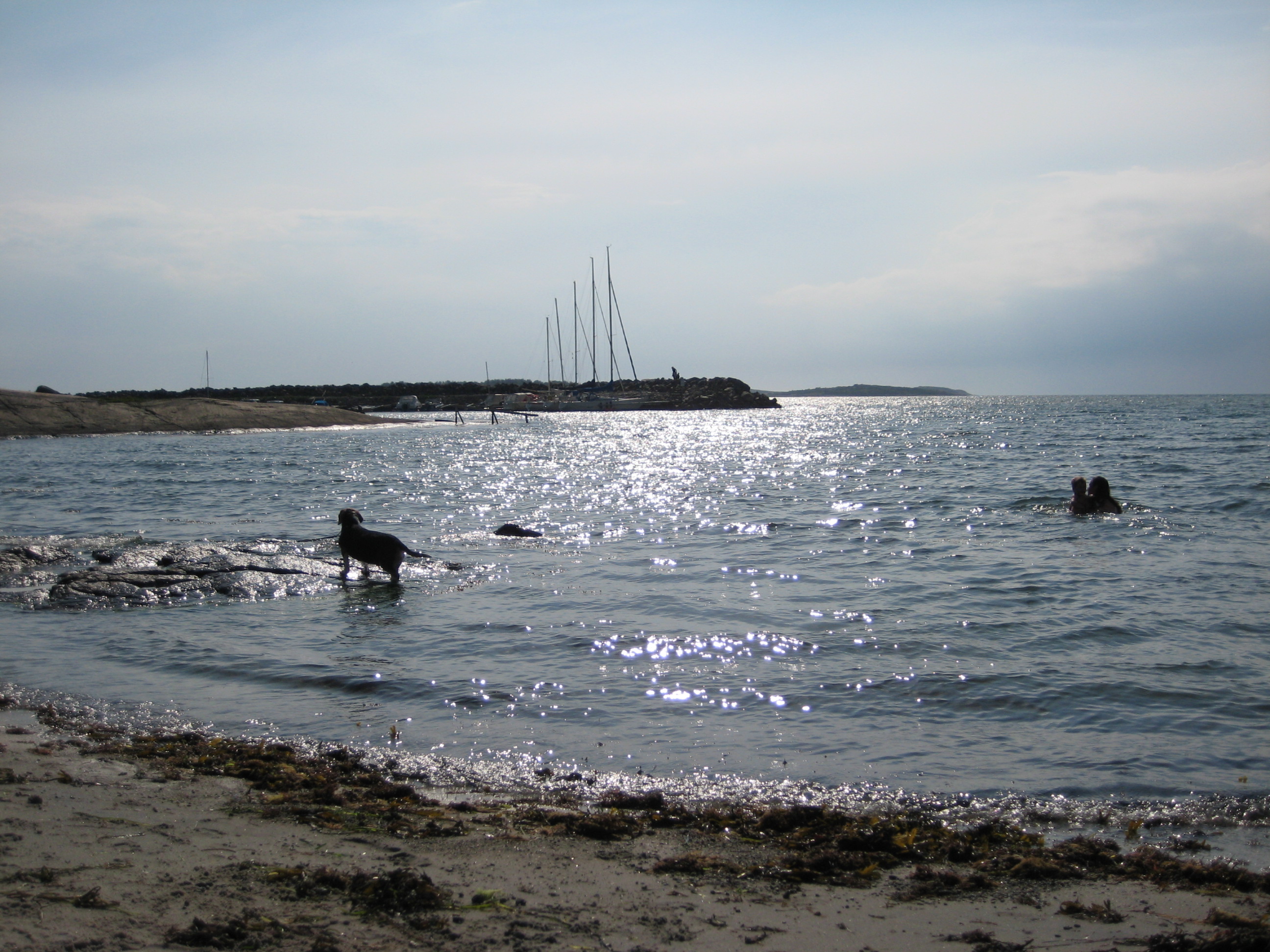IMG_4933.JPG