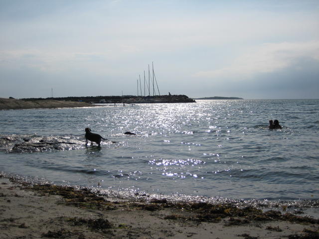 IMG_4933.JPG
