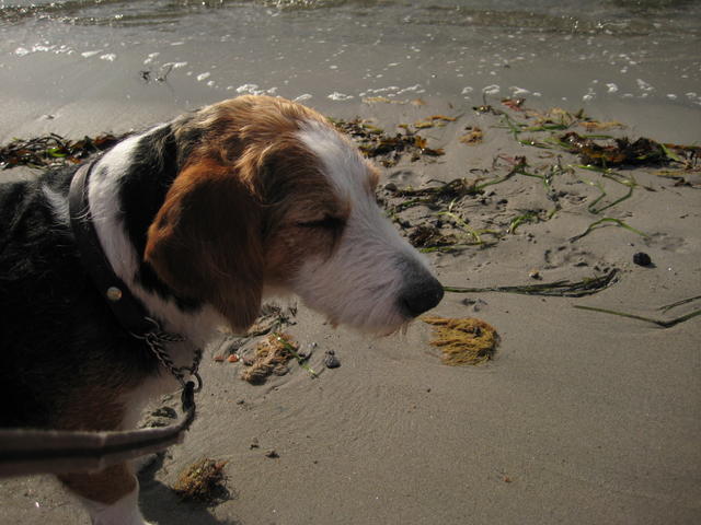 IMG_4943.JPG