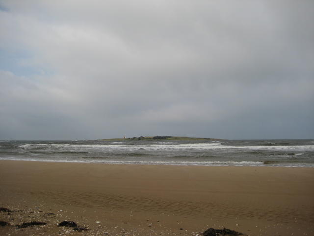 IMG_5316.JPG