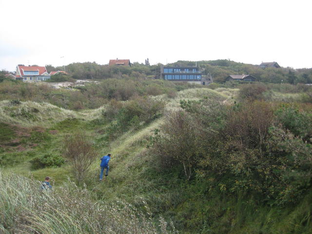 IMG_5325.JPG