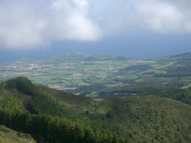 IMGP3450