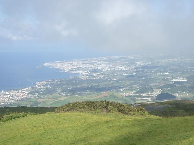 IMGP3451