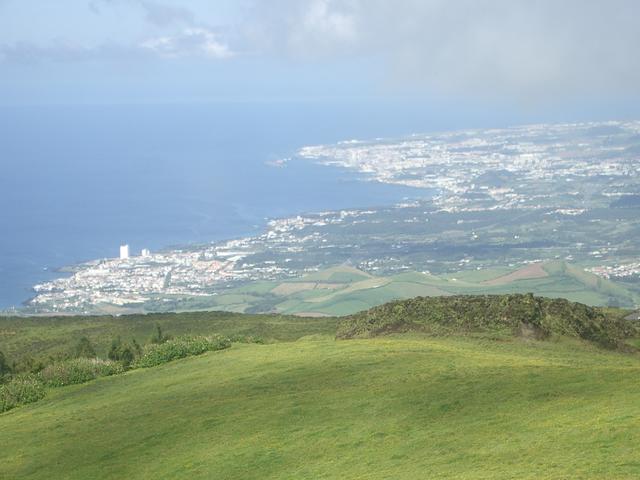 IMGP3453