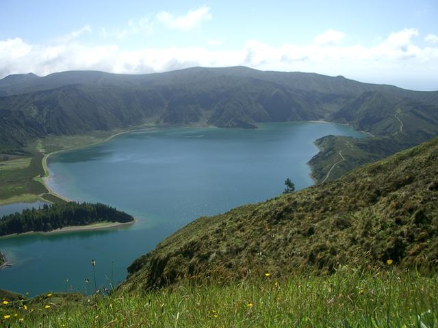 IMGP3456