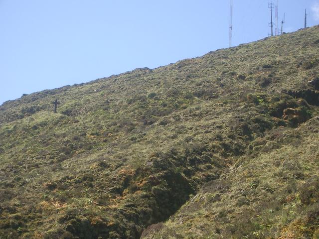 IMGP3460