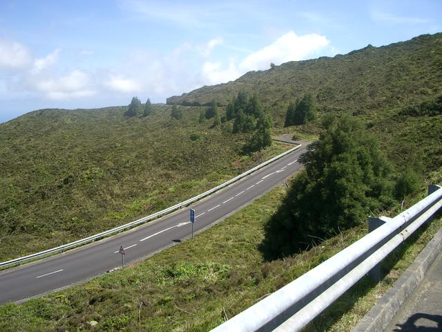 IMGP3464